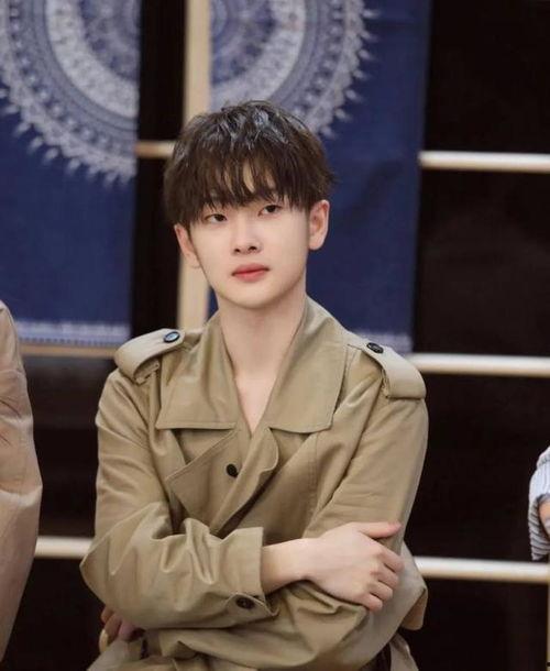 周震南像韩国明星,演绎东方魅力与韩国明星的完美融合